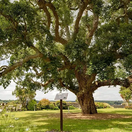 Courtmacsherry 3* Бандон